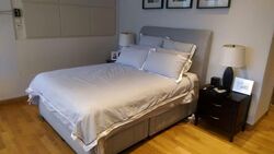 Amber Residences (D15), Condominium #595755231